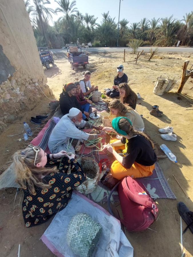 Forest Camp Siwa - كامب الغابة Siwa Oasis Bagian luar foto