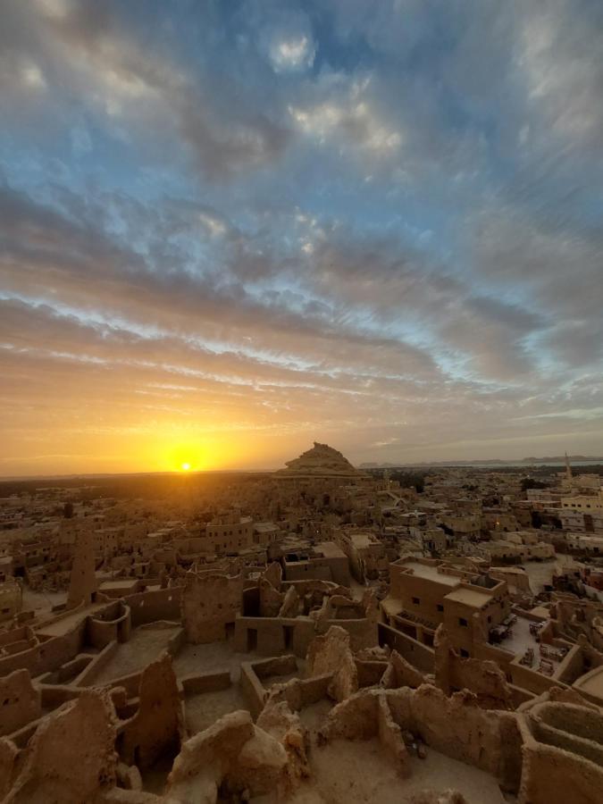 Forest Camp Siwa - كامب الغابة Siwa Oasis Bagian luar foto