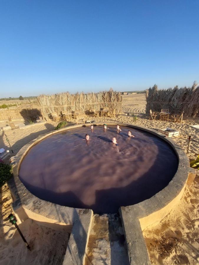 Forest Camp Siwa - كامب الغابة Siwa Oasis Bagian luar foto