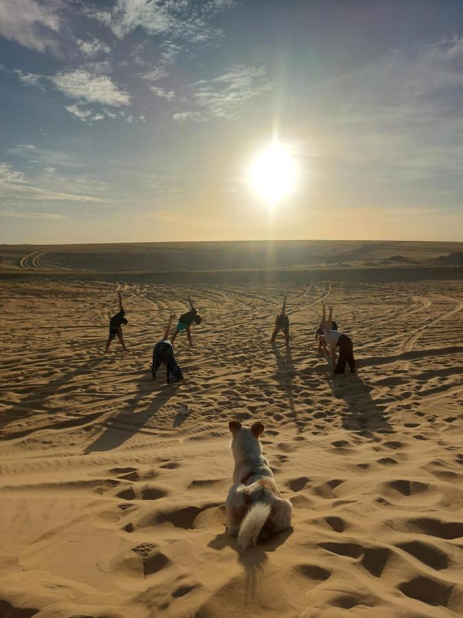 Forest Camp Siwa - كامب الغابة Siwa Oasis Bagian luar foto