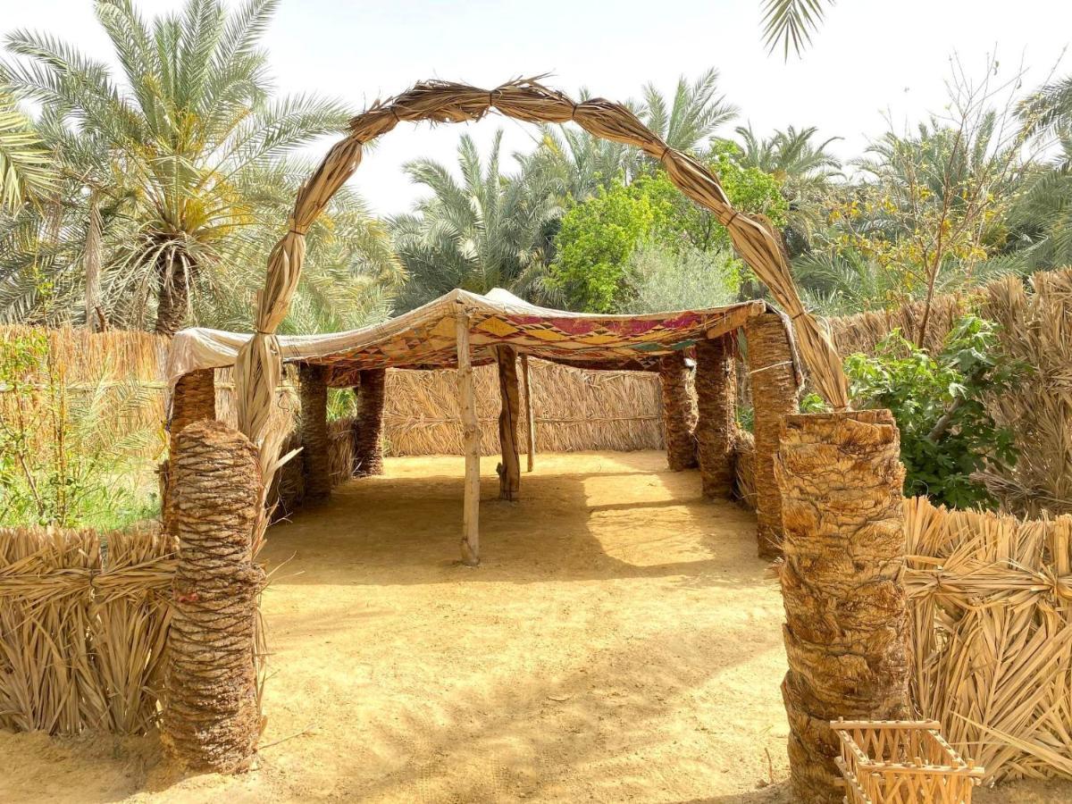 Forest Camp Siwa - كامب الغابة Siwa Oasis Bagian luar foto