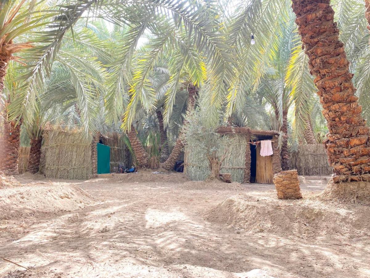 Forest Camp Siwa - كامب الغابة Siwa Oasis Bagian luar foto