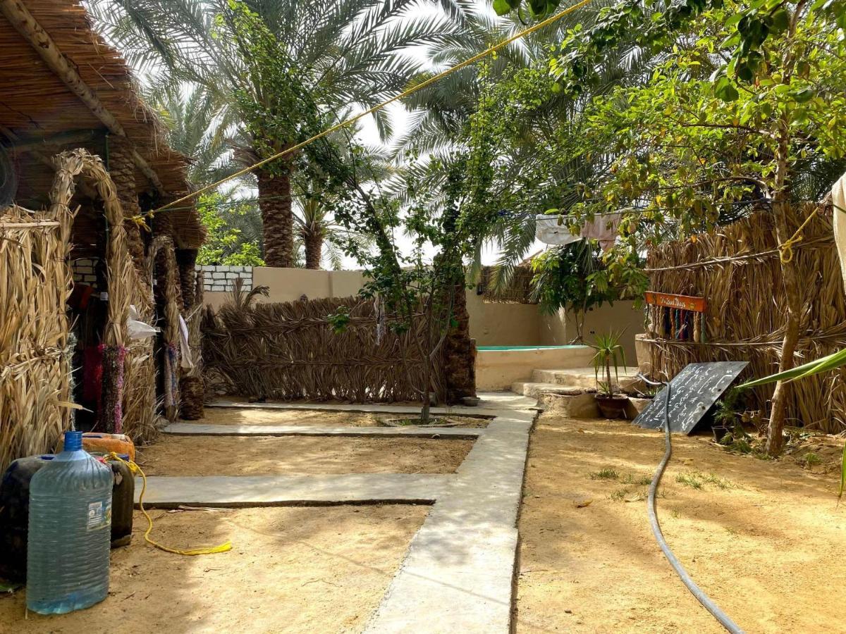 Forest Camp Siwa - كامب الغابة Siwa Oasis Bagian luar foto