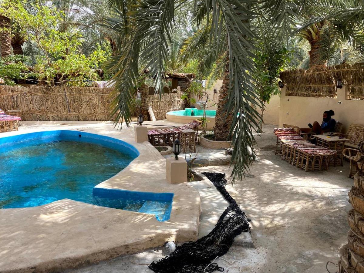 Forest Camp Siwa - كامب الغابة Siwa Oasis Bagian luar foto