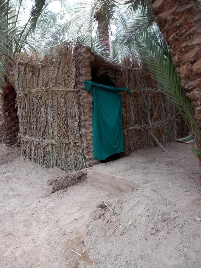 Forest Camp Siwa - كامب الغابة Siwa Oasis Bagian luar foto