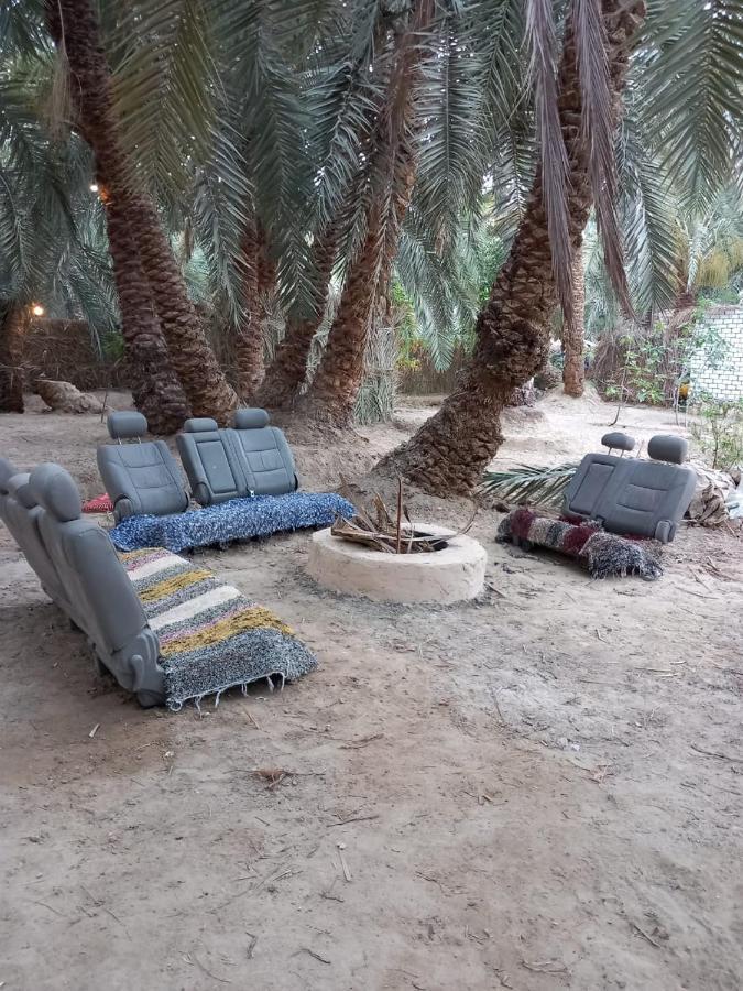 Forest Camp Siwa - كامب الغابة Siwa Oasis Bagian luar foto