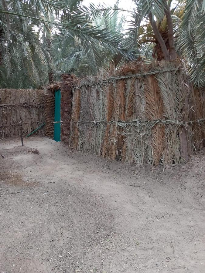 Forest Camp Siwa - كامب الغابة Siwa Oasis Bagian luar foto