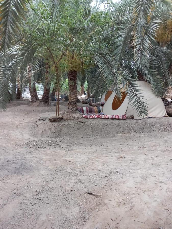 Forest Camp Siwa - كامب الغابة Siwa Oasis Bagian luar foto