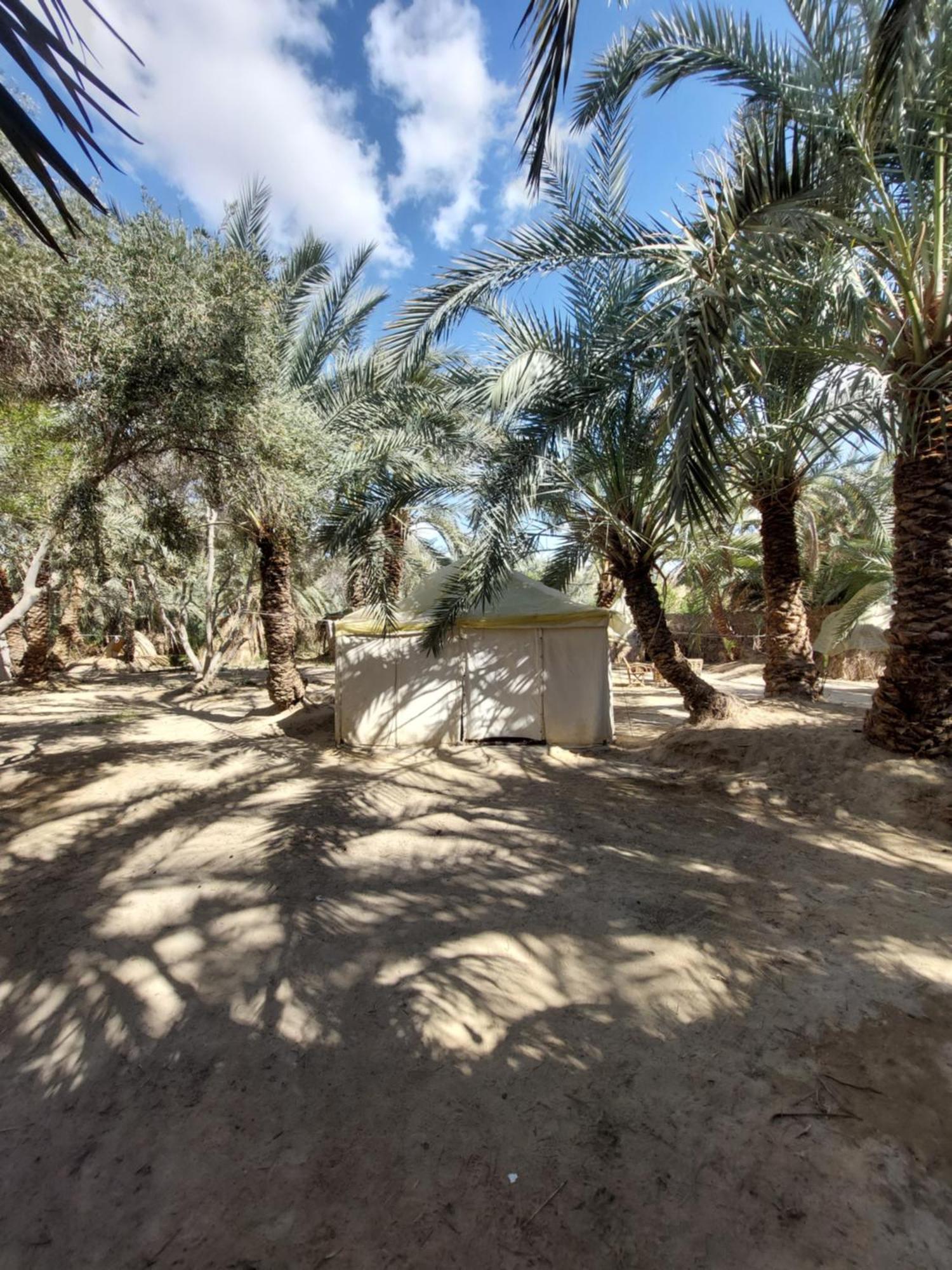 Forest Camp Siwa - كامب الغابة Siwa Oasis Bagian luar foto