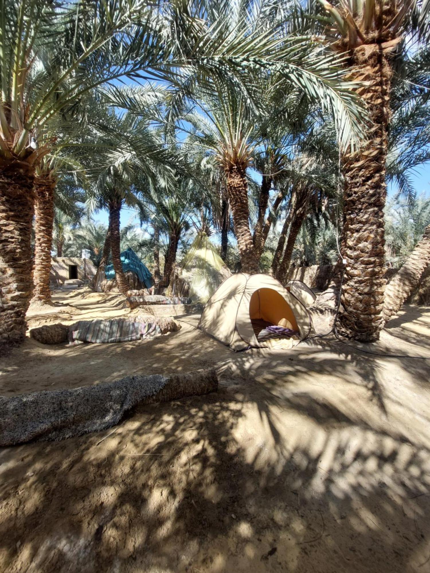 Forest Camp Siwa - كامب الغابة Siwa Oasis Bagian luar foto