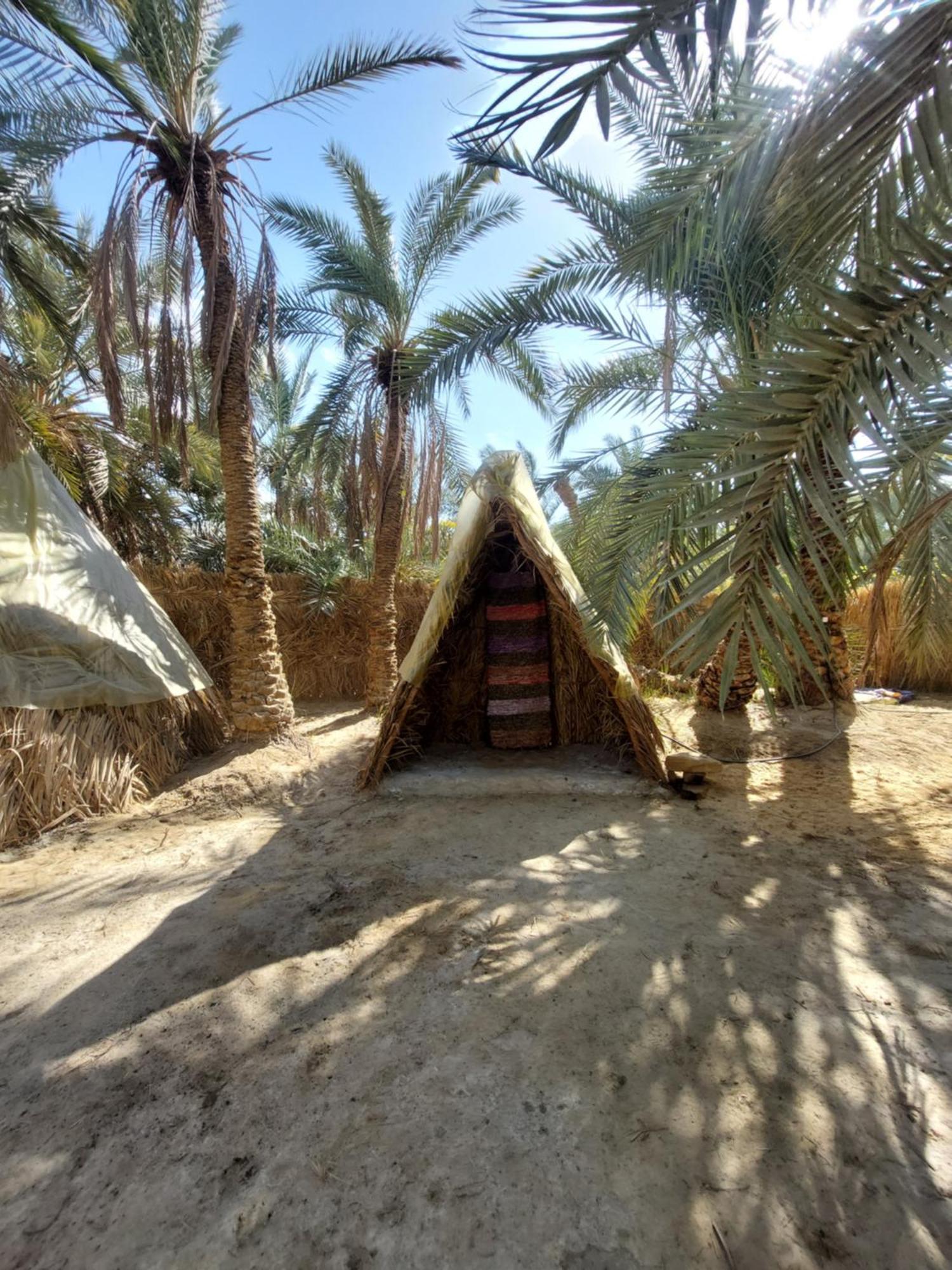 Forest Camp Siwa - كامب الغابة Siwa Oasis Bagian luar foto