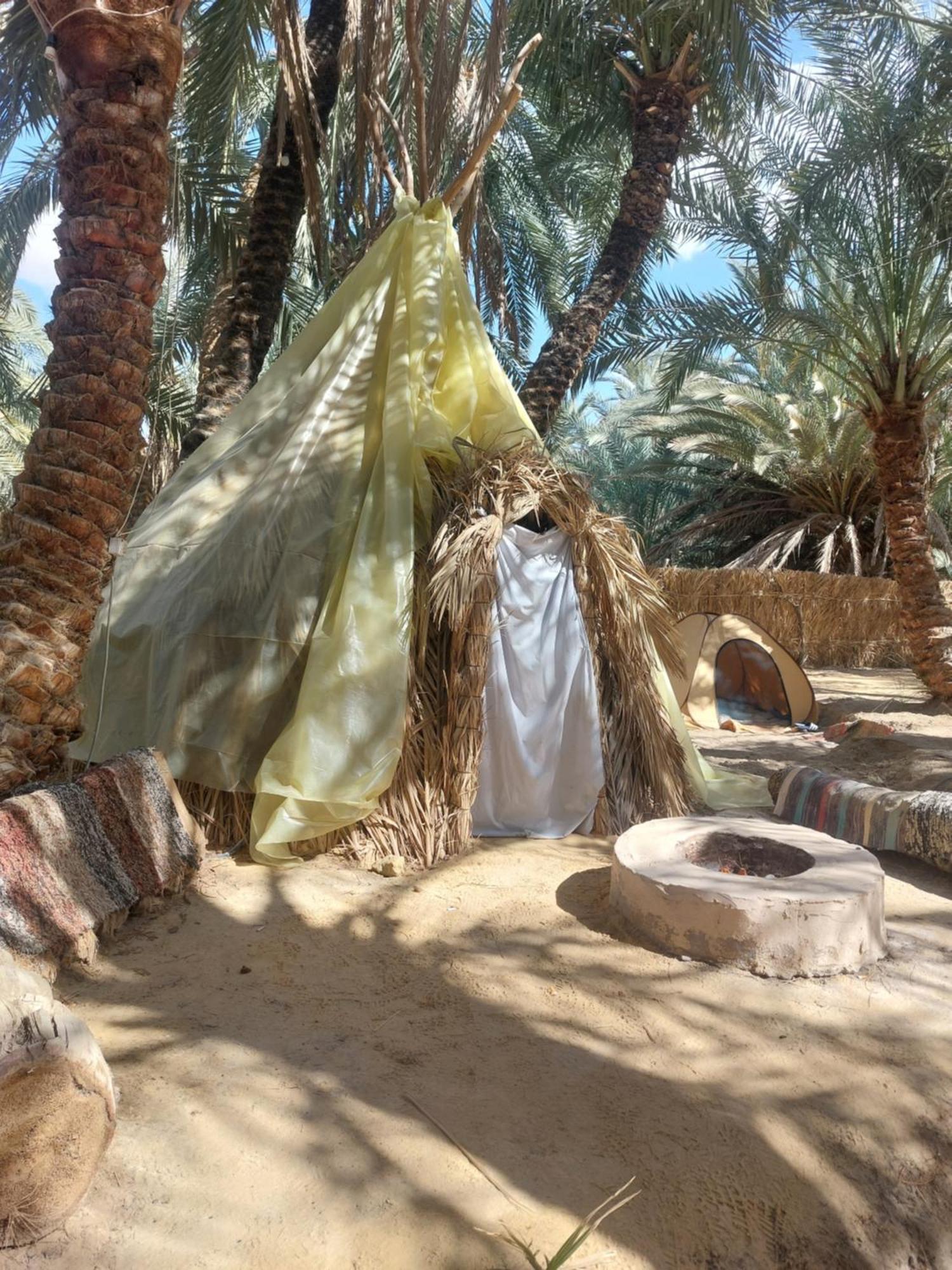 Forest Camp Siwa - كامب الغابة Siwa Oasis Bagian luar foto