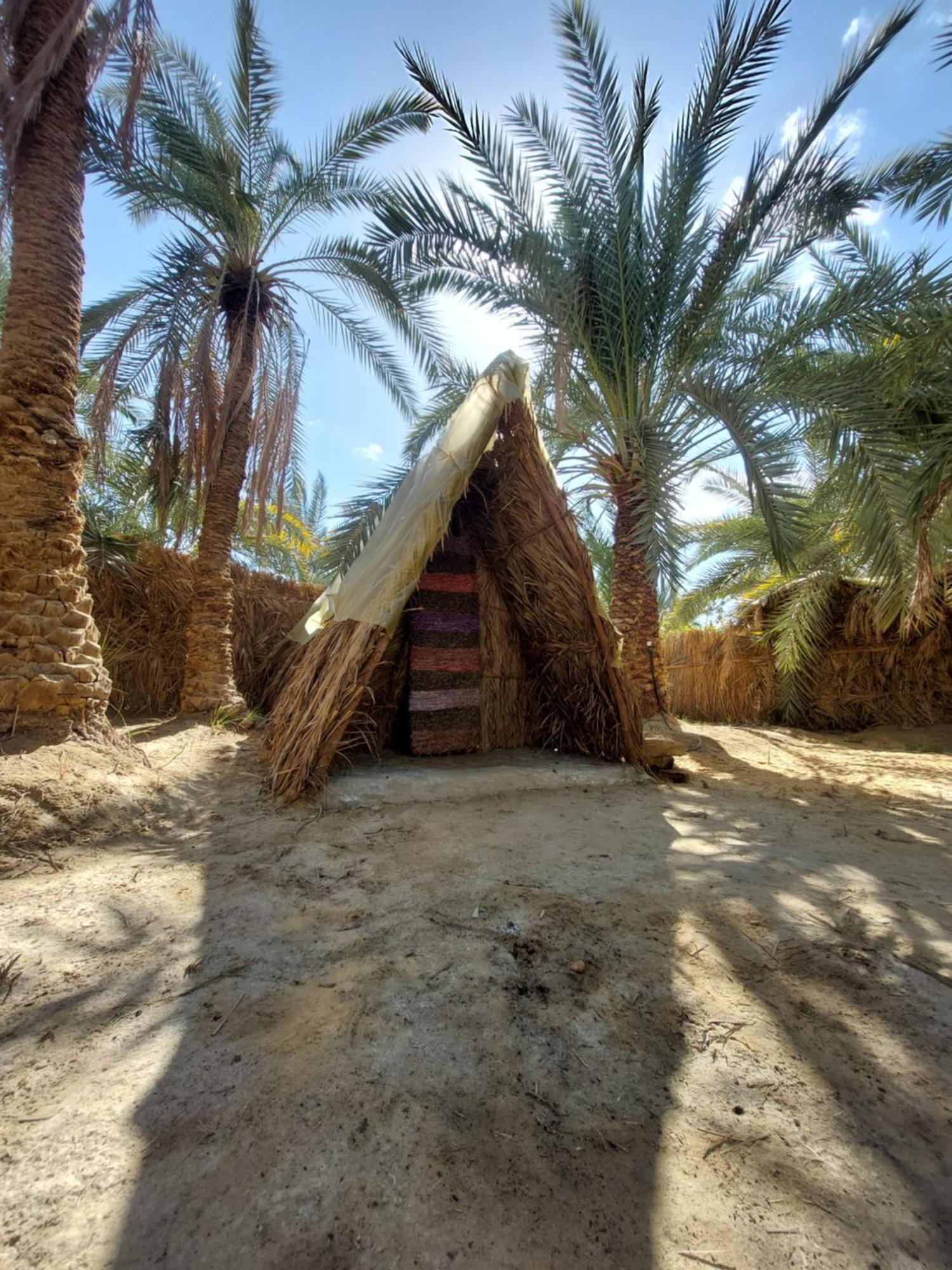 Forest Camp Siwa - كامب الغابة Siwa Oasis Bagian luar foto