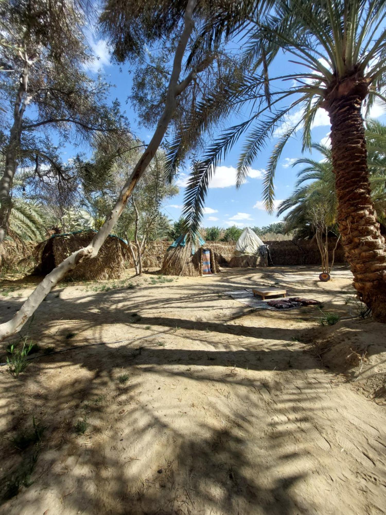 Forest Camp Siwa - كامب الغابة Siwa Oasis Bagian luar foto