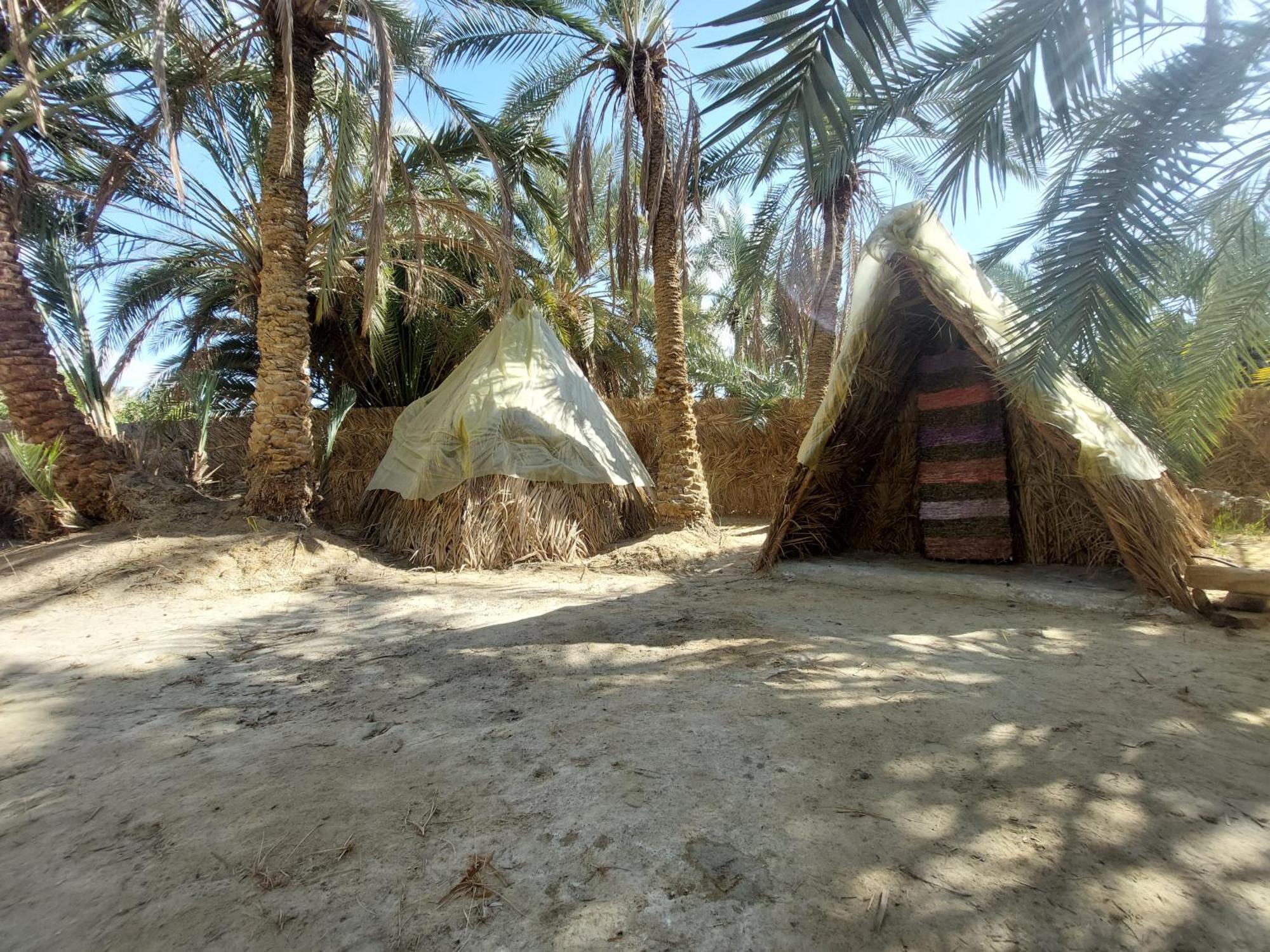 Forest Camp Siwa - كامب الغابة Siwa Oasis Bagian luar foto