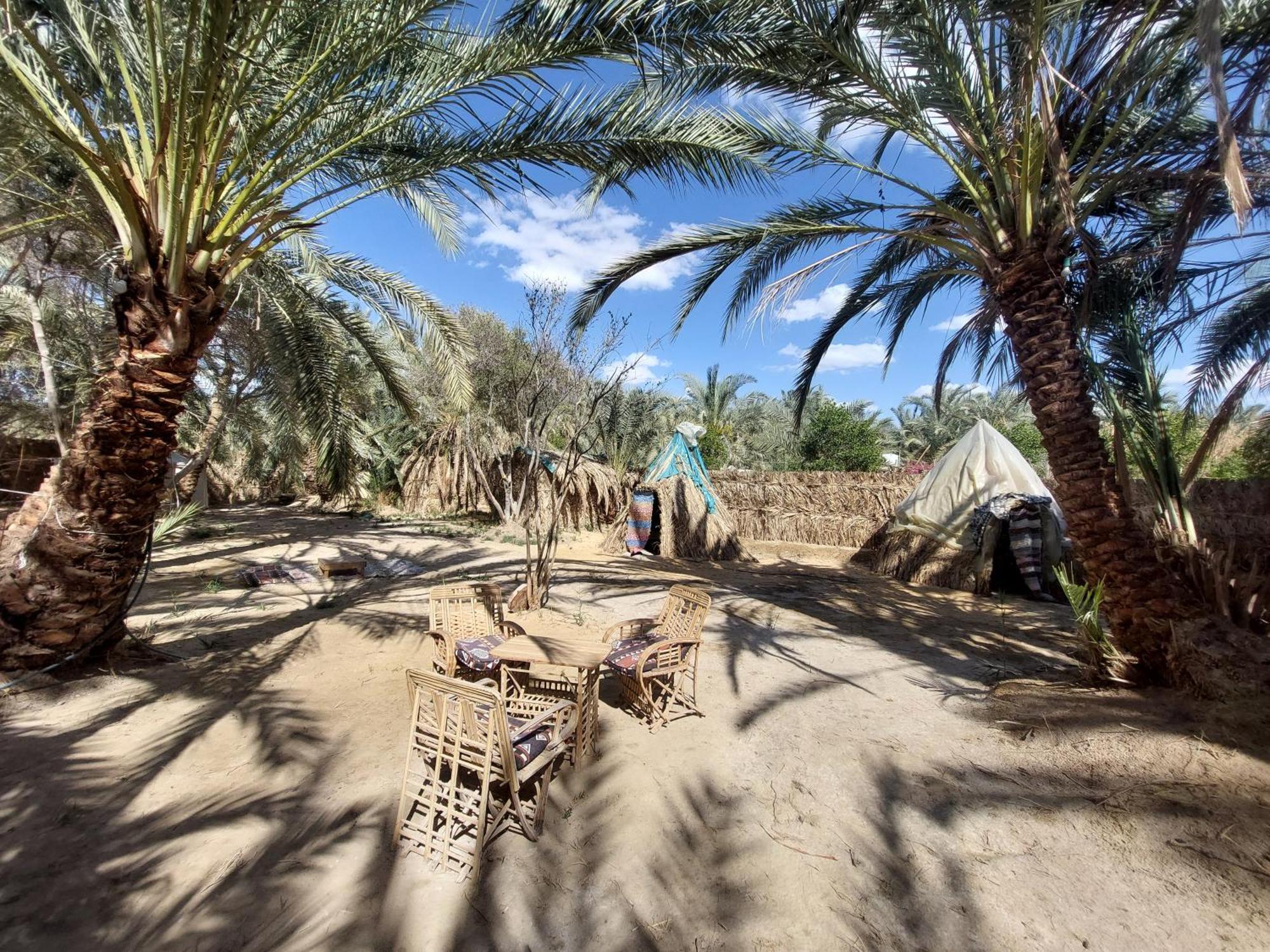 Forest Camp Siwa - كامب الغابة Siwa Oasis Bagian luar foto