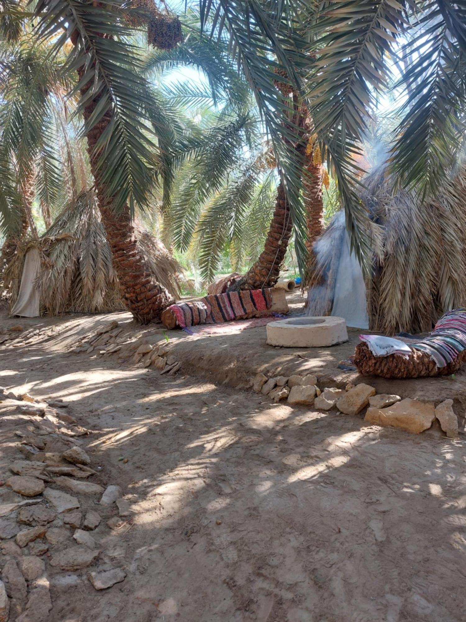 Forest Camp Siwa - كامب الغابة Siwa Oasis Bagian luar foto