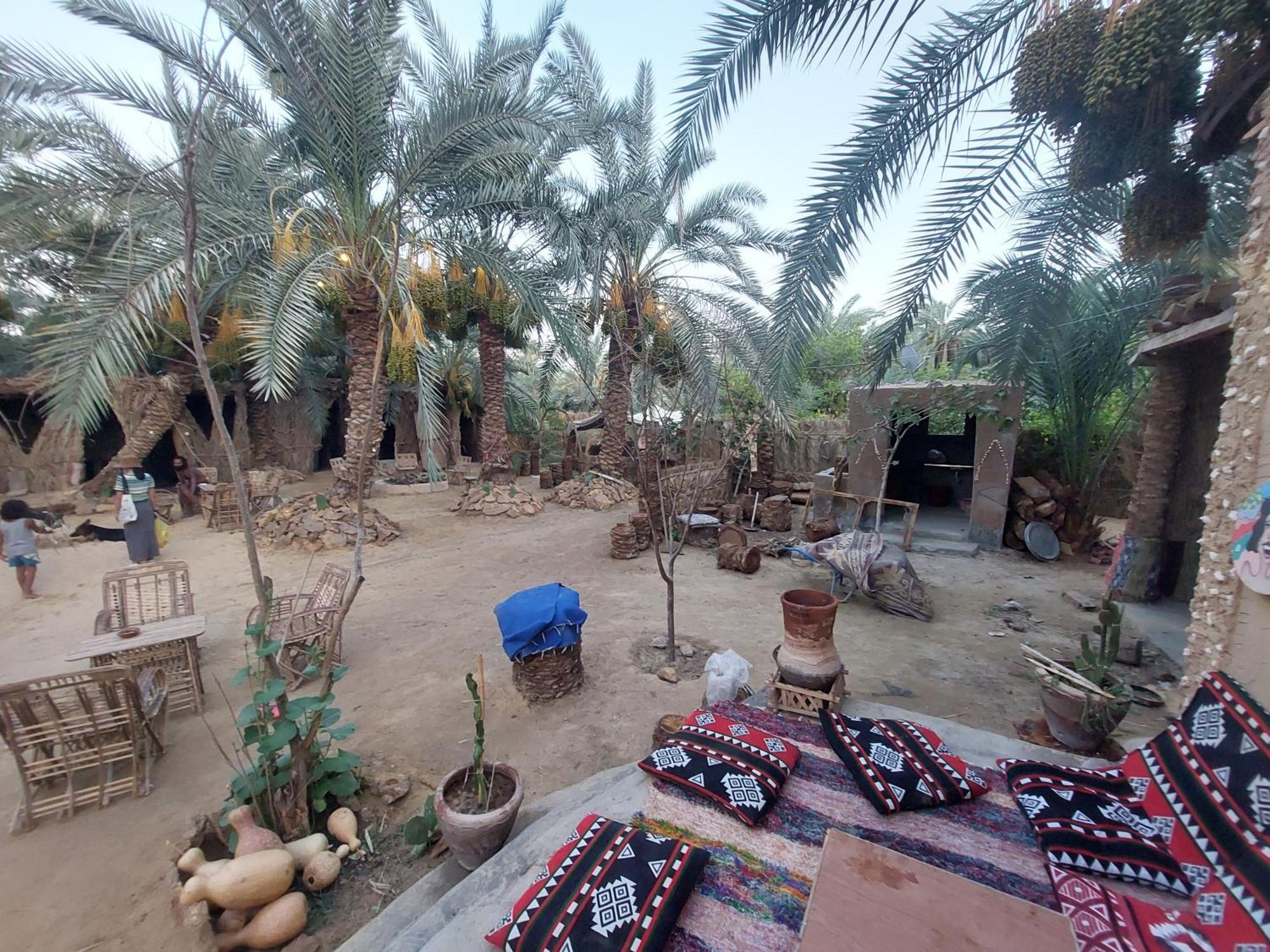 Forest Camp Siwa - كامب الغابة Siwa Oasis Bagian luar foto